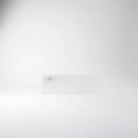 Jawor Parkiet Dąb Classic cena